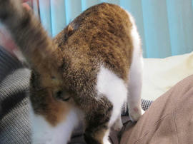 IMG00569.jpg
