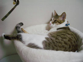 IMGP9110.jpg