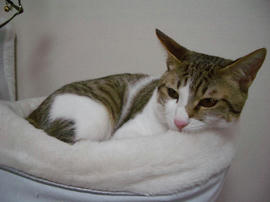 IMGP9119.jpg
