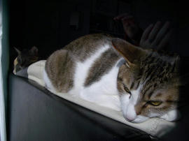 IMGP12754.jpg