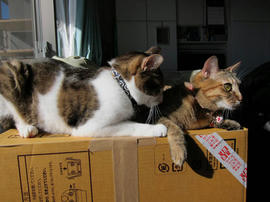 IMG00574.jpg