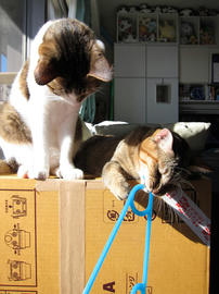 IMG00576.jpg