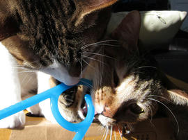 IMG00577.jpg