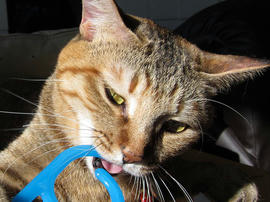 IMG00578.jpg