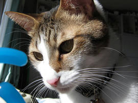 IMG00581.jpg