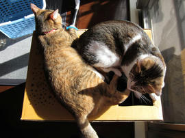 IMG00583.jpg