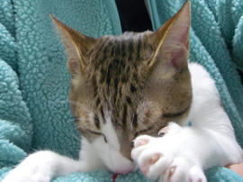 IMGP9153.jpg