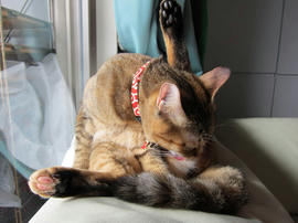 IMG00590.jpg