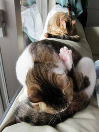 IMG00591.jpg