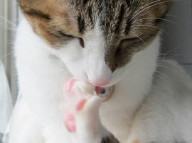 IMG00592.jpg
