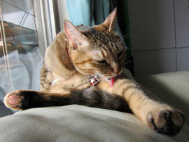 IMG00594.jpg