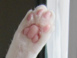 IMG00598.jpg