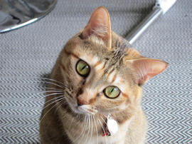IMG00599.jpg