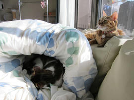IMG00600.jpg