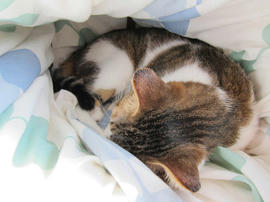 IMG00601.jpg