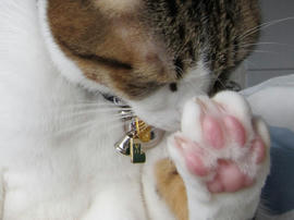 IMG00593.jpg