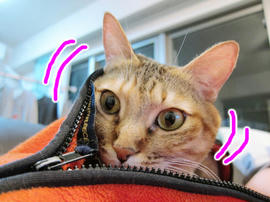 IMG00604.jpg