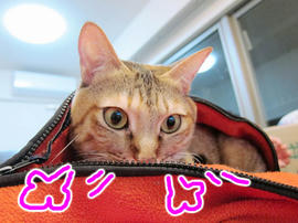 IMG00605.jpg