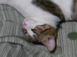 IMGP9352.jpg
