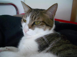 IMGP12778.jpg