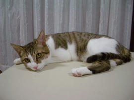 IMGP9497.jpg
