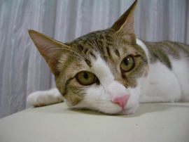 IMGP9498.jpg