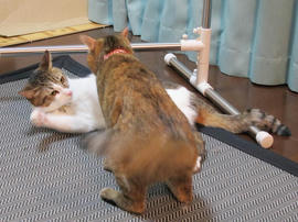 IMG00606.jpg