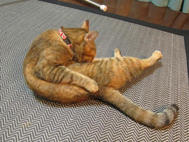 IMG00608.jpg