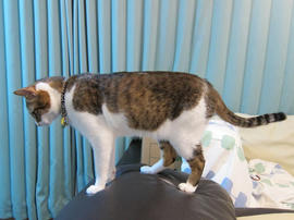 IMG00609.jpg