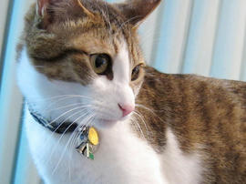 IMG00610.jpg