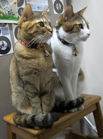 IMG00612.jpg