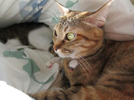 IMG00619.jpg