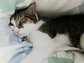 IMG00620.jpg