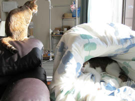 IMG00621.jpg