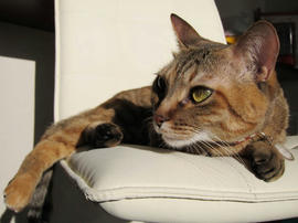 IMG00626.jpg