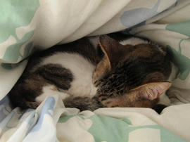 IMG00627.jpg