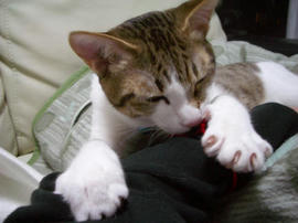 IMGP9514.jpg