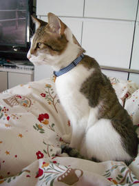 IMGP12811.jpg