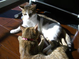IMGP12821.jpg