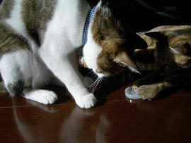 IMGP12836.jpg