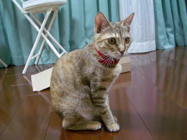 IMGP9537.jpg