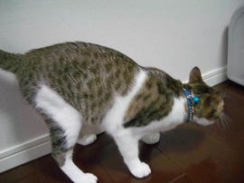 IMGP9543.jpg