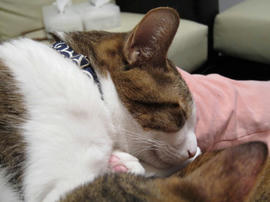 IMG00630.jpg