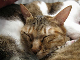 IMG00633.jpg