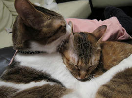 IMG00636.jpg