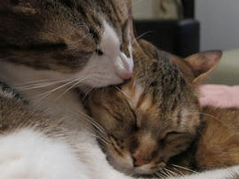 IMG00637.jpg