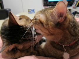 IMG00640.jpg