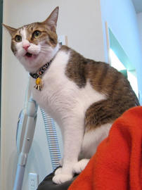 IMG00650.jpg