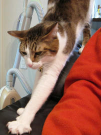 IMG00654.jpg
