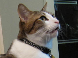 IMG00656.jpg